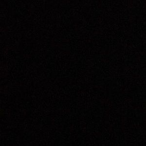 Meet your Posher, Gavin